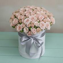 Цветочная композиция из Розы в шляпной коробке #REPLACE_PRED# Первомайском Алтайского края