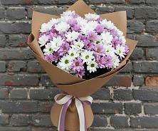 Букет цветов из:  Хризантемы в Первомайском Алтайского края