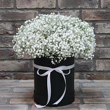 Цветочная композиция из Гипсофила в шляпной коробке #REPLACE_PRED# Первомайском Алтайского края